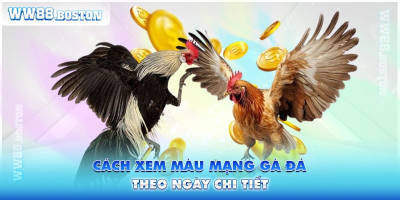 Hướng Dẫn Cách Xem Màu Mạng Gà Đá Theo Ngày Chi Tiết