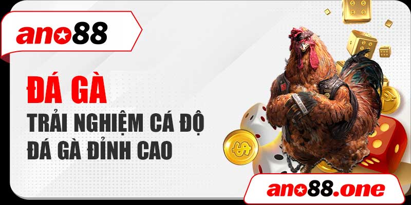 Đá gà ano88