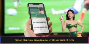 Giới thiệu nhà cái uy tín 68win